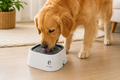 AquaPaw™ - Bebedero Antiderrames para Mascotas