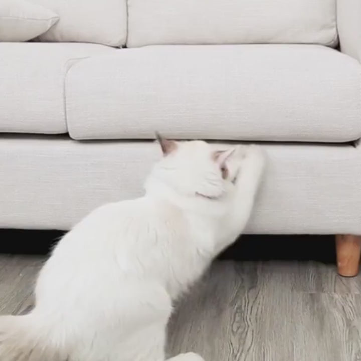 Protector Antiarañazos para Sofá CatShield™